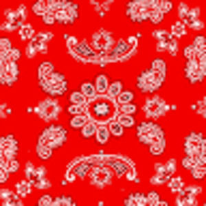 Meet your Posher, Jack